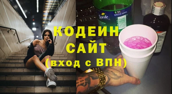 дживик Абаза