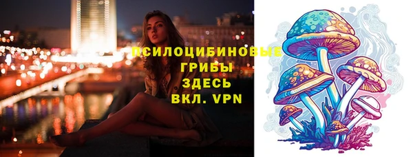 дживик Абаза