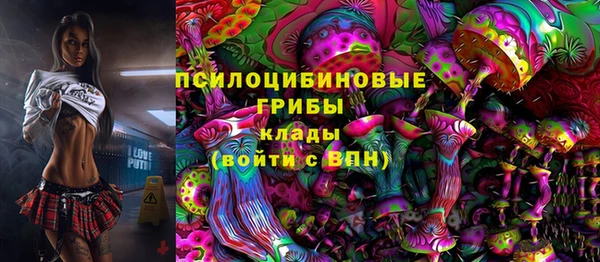 бошки Абинск
