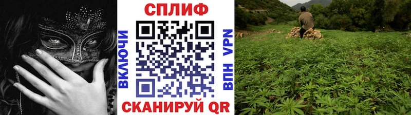 Конопля SATIVA & INDICA ОМГ ОМГ ссылка Усть-Илимск